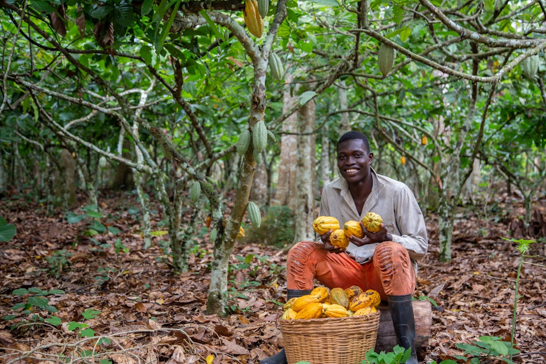 Visit a Cocoa Plantation
